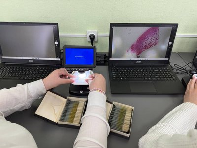 "Дванадцятирічка": як у школі на Черкащині впроваджують реформу "Дванадцятирічка": як у школі на Черкащині впроваджують реформу