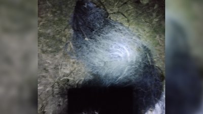За допомогою електроструму на Чернігівщині чоловік наловив 83 кілограми риби на понад 180 тисяч гривень За допомогою електроструму на Чернігівщині чоловік наловив 83 кілограми риби на понад 180 тисяч гривень