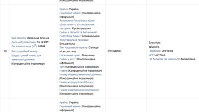 Що задекларували голови Кропивницької, Олександрійської, Новоукраїнської та Голованівської РВА за 2024 рік Що задекларували голови Кропивницької, Олександрійської, Новоукраїнської та Голованівської РВА за 2024 рік