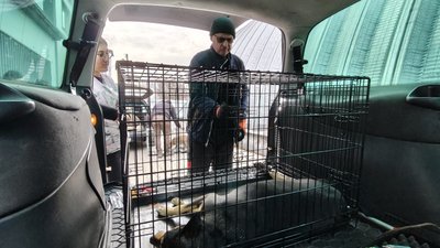 Фахівець з відлову тварин Сергій Абрамов стоїть поруч із собакою у клітці Фахівець з відлову тварин Сергій Абрамов стоїть поруч із собакою у клітці