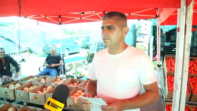 У Житомирі провели дослідження на вміст нітратів у кавунах та динях У Житомирі провели дослідження на вміст нітратів у кавунах та динях
