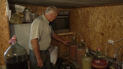 Вирощують 150 сортів винограду на власному подвір'ї: історія подружжя Гарбарів з Рівненщини Вирощують 150 сортів винограду на власному подвір'ї: історія подружжя Гарбарів з Рівненщини
