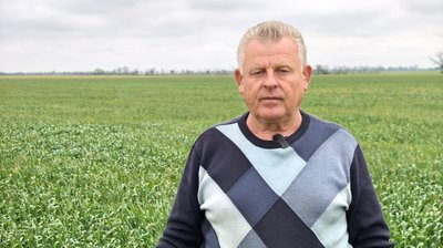 Господарство на Миколаївщині відновлюється після бойових дій Господарство на Миколаївщині відновлюється після бойових дій