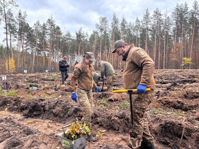 "Робота в задоволення": у лісництві на Черкащині висадили нові дерева "Робота в задоволення": у лісництві на Черкащині висадили нові дерева