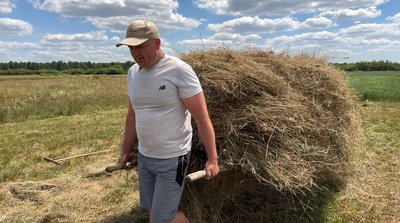 "Літом ногою, а зимою губою": як родина з Волині заготовляє сіно на зиму "Літом ногою, а зимою губою": як родина з Волині заготовляє сіно на зиму