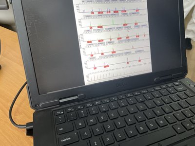 Розшук зниклих безвісти у Полтаві: скількох людей вдалось знайти протягом року Розшук зниклих безвісти у Полтаві: скількох людей вдалось знайти протягом року