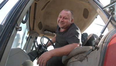 тракторист, жнива тракторист, жнива