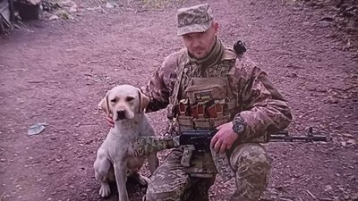 полеглі вінничани полеглі вінничани