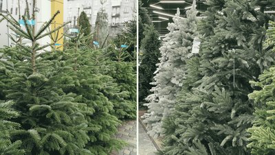 Поранені через обстріли, збиті безпілотники, відключення світла. Головні новини Дніпра та області 13 грудня Поранені через обстріли, збиті безпілотники, відключення світла. Головні новини Дніпра та області 13 грудня