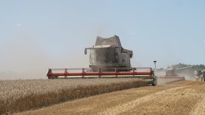 Понад 600 тисяч тонн минулорічного врожаю залишається на складах: чому підприємці Чернігівщини не продають зерно Понад 600 тисяч тонн минулорічного врожаю залишається на складах: чому підприємці Чернігівщини не продають зерно
