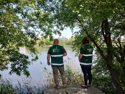 У Житомирі на поверхню річки Крошенка масово спливла риба У Житомирі на поверхню річки Крошенка масово спливла риба