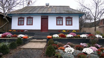 Придбала за грантові гроші: вінничанка облаштовує теплицю для квітів