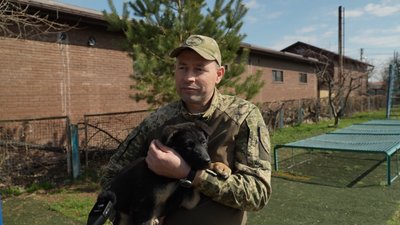 Сем, Лео, Тайфун та Хвоя: у Запоріжжі в кінологічному центрі поліції з’явилися нові чотирилапі помічники Сем, Лео, Тайфун та Хвоя: у Запоріжжі в кінологічному центрі поліції з’явилися нові чотирилапі помічники