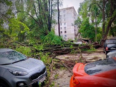 В Одесі через негоду повалились дерева та великі гілки В Одесі через негоду повалились дерева та великі гілки