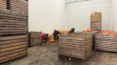 Оновленні грантові програми для аграрїв: що змінили та скільки отримали на Кіровоградщині Оновленні грантові програми для аграрїв: що змінили та скільки отримали на Кіровоградщині