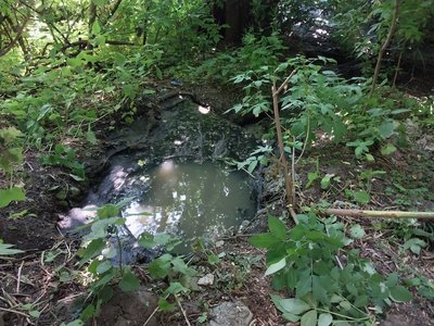 "Тут тварини травляться". На Сумщині зливають каналізаційні води поблизу села "Тут тварини травляться". На Сумщині зливають каналізаційні води поблизу села