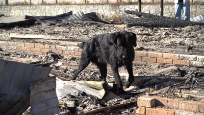 "Я не ждун. Як припече – буду тікати". Як живуть люди у прифронтовому Покровському на Дніпропетровщині "Я не ждун. Як припече – буду тікати". Як живуть люди у прифронтовому Покровському на Дніпропетровщині
