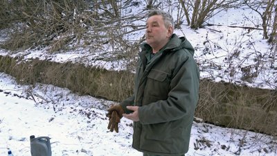 У Луцьку розчищають чагарники й дерева на території лугопарку вздовж Стиру У Луцьку розчищають чагарники й дерева на території лугопарку вздовж Стиру