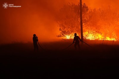 Еколог і лікарка про вплив пожеж на Полтавщині: чим шкідливо Еколог і лікарка про вплив пожеж на Полтавщині: чим шкідливо