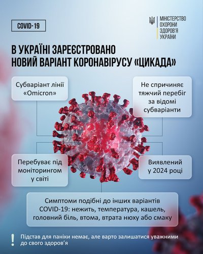 Новий штам COVID-19 "Цикада" Новий штам COVID-19 "Цикада"