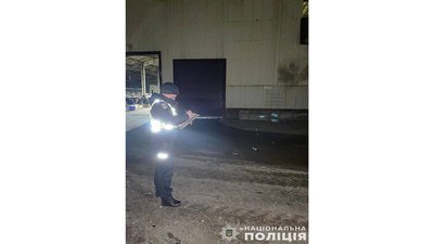 Війська РФ атакували безпілотниками ферму на Чернігівщині, загинули 11 корів