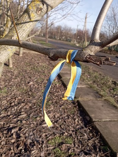 "Я навчилася в’язати стрічки, ховаючи руки за спиною" – волонтерка розповіла, як на лівобережжі протидіють окупації "Я навчилася в’язати стрічки, ховаючи руки за спиною" – волонтерка розповіла, як на лівобережжі протидіють окупації