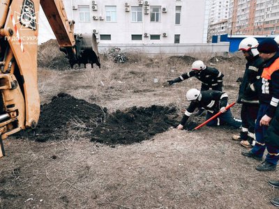 В Одесі з 3,5 метрової ями врятували цуценя В Одесі з 3,5 метрової ями врятували цуценя