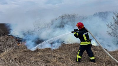 На Черкащині горів сухостій На Черкащині горів сухостій