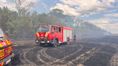 На Кіровоградщині горіло поле пшениці: рятувальники ліквідували пожежу На Кіровоградщині горіло поле пшениці: рятувальники ліквідували пожежу