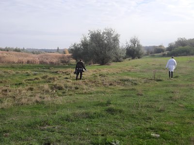Вакцинація диких тварин від сказу. Кіровоградщина отримала 482 тисячі доз