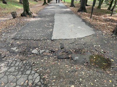 У Чернівцях розпочнуть ремонт доріжок у парку Шевченка У Чернівцях розпочнуть ремонт доріжок у парку Шевченка