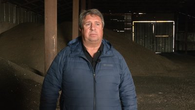 Урожай є, прибутку немає: чому аграрії Чернігівщини змушені скорочувати посіви