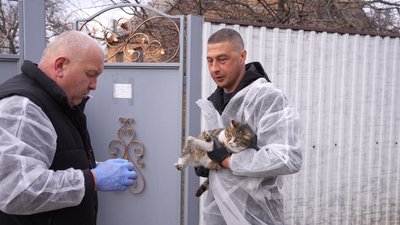 "Якщо щеплення не зробити вчасно — захворювання невиліковне". В одному з міст Дніпропетровщини стався спалах сказу "Якщо щеплення не зробити вчасно — захворювання невиліковне". В одному з міст Дніпропетровщини стався спалах сказу