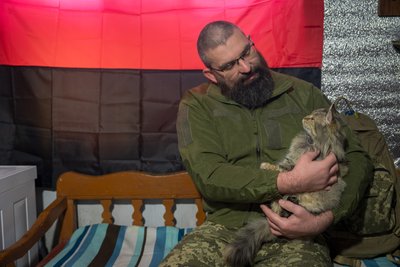 "Маленький антистрес у нас". Кішка Муся несе службу разом з бійцями 128-ї бригади "Дике поле" "Маленький антистрес у нас". Кішка Муся несе службу разом з бійцями 128-ї бригади "Дике поле"