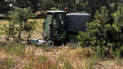 Понад 200 років історії: як змінювався парк "Ліски" в Миколаєві Понад 200 років історії: як змінювався парк "Ліски" в Миколаєві