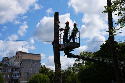 У Харкові комунальники обрізають дерева У Харкові комунальники обрізають дерева