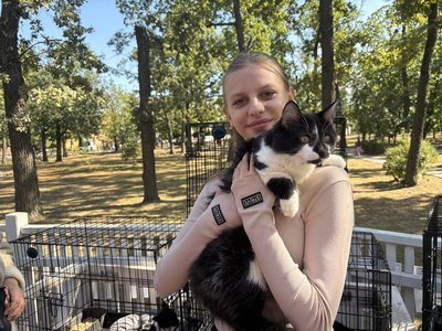 У Малині на Житомирщині провели День кошенят для безпритульних тварин У Малині на Житомирщині провели День кошенят для безпритульних тварин