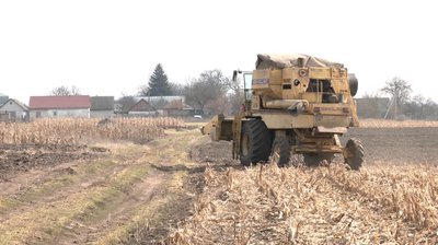 "Затягуємо пояси": наскільки здорожчала посівна на Черкащині "Затягуємо пояси": наскільки здорожчала посівна на Черкащині