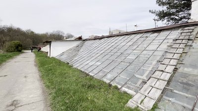 Двохсотрічні пальми, мандарини та кумквати: в оранжереї в Умані ростуть дерева з часів графа Потоцького Двохсотрічні пальми, мандарини та кумквати: в оранжереї в Умані ростуть дерева з часів графа Потоцького