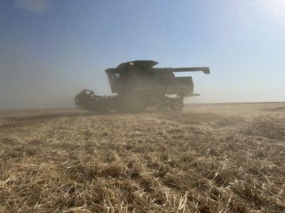 Який врожай зібрали цьогоріч на Херсонщині Який врожай зібрали цьогоріч на Херсонщині