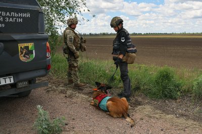 "Кожна закатована людина — це трагедія": робота групи пошуку та евакуації Генштабу ЗСУ "Кожна закатована людина — це трагедія": робота групи пошуку та евакуації Генштабу ЗСУ