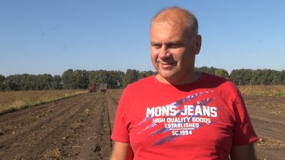 З тонни буряка — 80 кілограмів цукру: на Черкащині завершують збір цукрового буряка З тонни буряка — 80 кілограмів цукру: на Черкащині завершують збір цукрового буряка