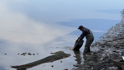 Підприємства, які вирощують прісноводну рибу, можуть отримати компенсацію від держави: які умови й терміни виплат Підприємства, які вирощують прісноводну рибу, можуть отримати компенсацію від держави: які умови й терміни виплат