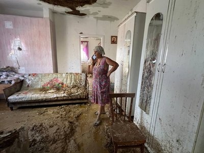 хата стеля хата стеля