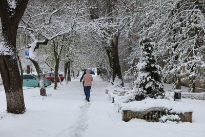 Херсон, негода, сніг, погода Херсон, негода, сніг, погода