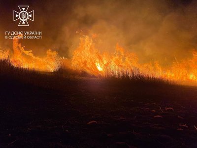 Дим в Одесі: у місті горять поля зрошення та очерет Дим в Одесі: у місті горять поля зрошення та очерет
