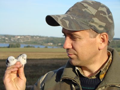 Бьордвотчинг узимку: яких синиць можна побачити у Черкасах Бьордвотчинг узимку: яких синиць можна побачити у Черкасах