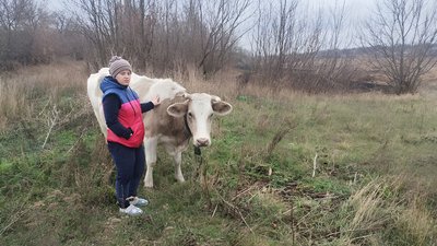 Державні програми для аграріїв. Як вони працюють та хто користується ними на Кіровоградщині Державні програми для аграріїв. Як вони працюють та хто користується ними на Кіровоградщині