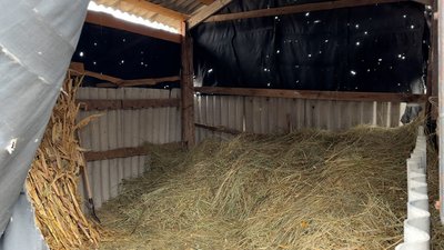 Сінник село Селезнівка Миколаївська громада Донецька область 29 січня 2025 рік Сінник село Селезнівка Миколаївська громада Донецька область 29 січня 2025 рік