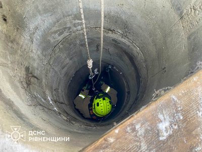 Кіт впав у колодязь на Рівненщині. Його звідти дістали рятувальники